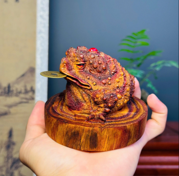 Các Bước Khai Quang Điểm Nhãn Cóc Thiềm Thừ